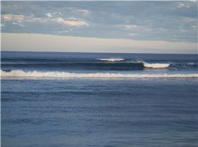 West Coast Eagles where flying high