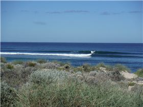 West Coast Eagles where flying high