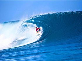 10347804 671709122941234 6167934110494530167 n