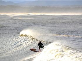 Not Lord Howe but....