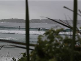 Denmark WA State round