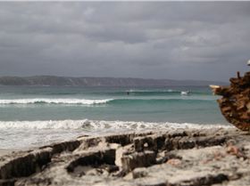 Denmark WA State round