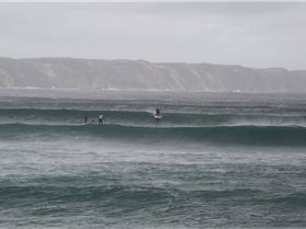 Denmark WA State round