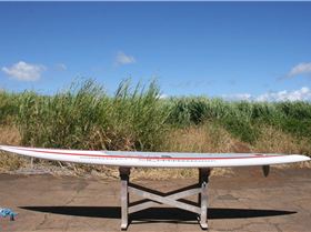 1495337 910949332261297 2409268663911304920 o