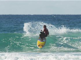 11698769 953636601348902 7236225611434758951 o