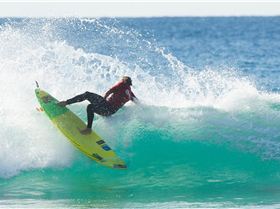 11700692 953636684682227 2981913231720719525 o