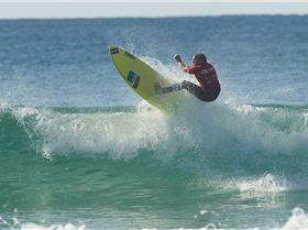 11754469 953636631348899 5322696431333427236 o