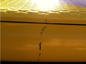 11227062 10154050875938502 1498959686092797029 o