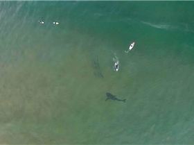 FB IMG 1439329650933