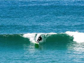 Ryan Hipwood Venom carve