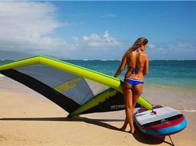 IRigOnebyArrows1 (1)