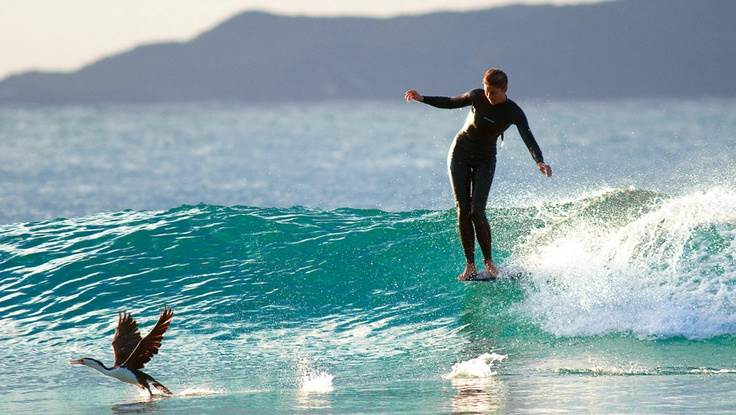 501712befa219e06a1f9ba2e55acf519