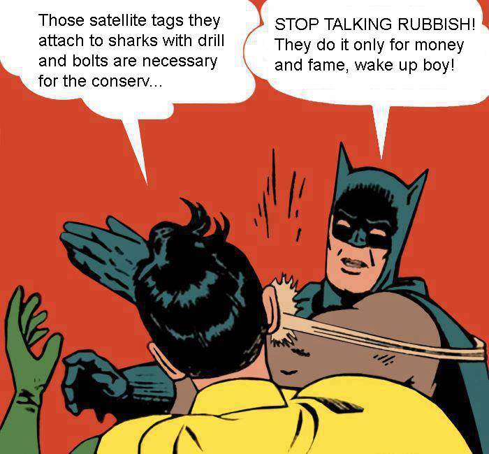 1003855 10202244282896862 1342115095 n