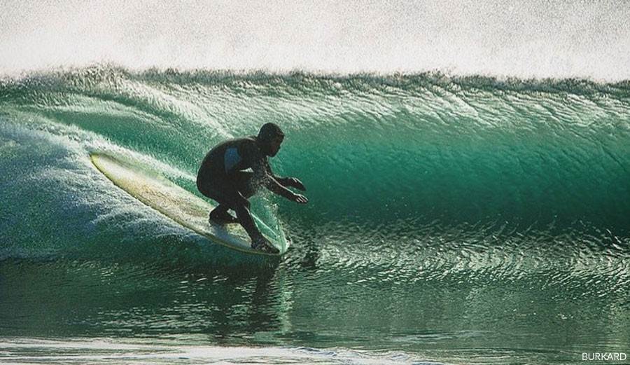 cyrussutton900 burkard-900x521