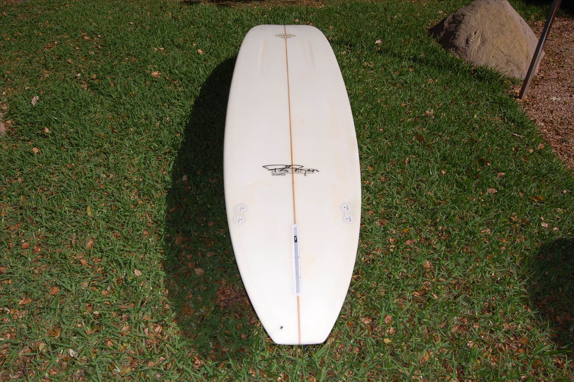 McTavish EPS Blewitt