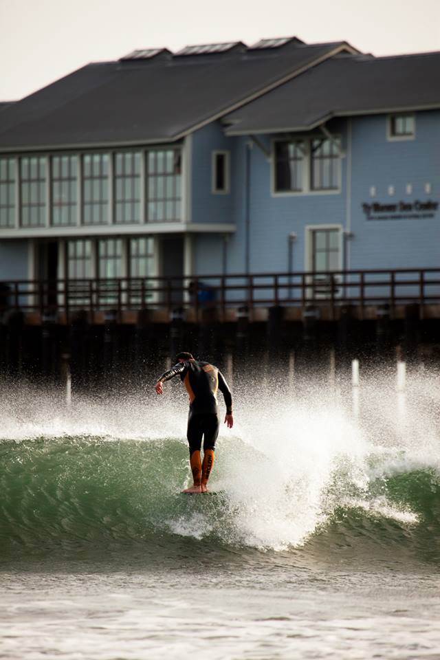 12549022 1040592202628539 4826343569386887455 n