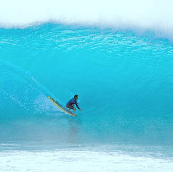 12002740 981356505218776 6954306331194477340 n