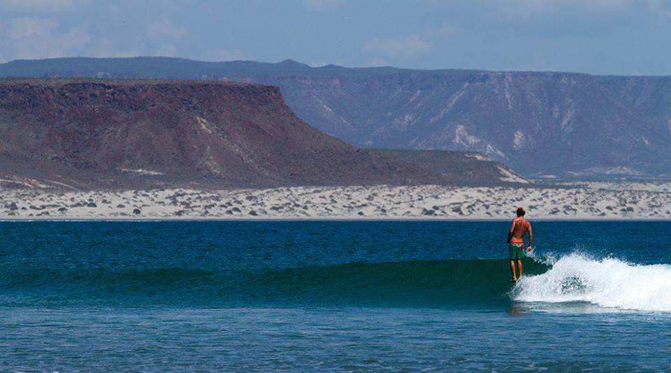 12313974 1019153804772379 2778714593468186277 n