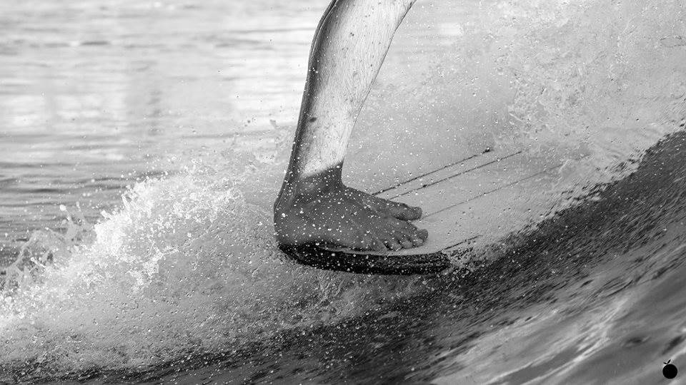 11209468 920512287969865 2153574042400719160 n