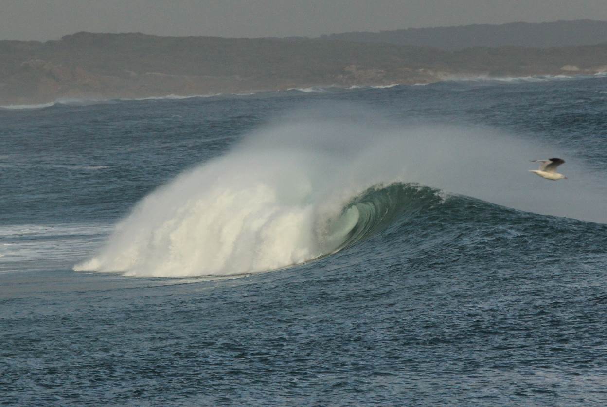 Screen Shot 2016-05-21 at 3.17.36 pm