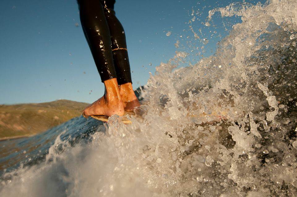 12316584 1019542534733506 5465206210756120231 n