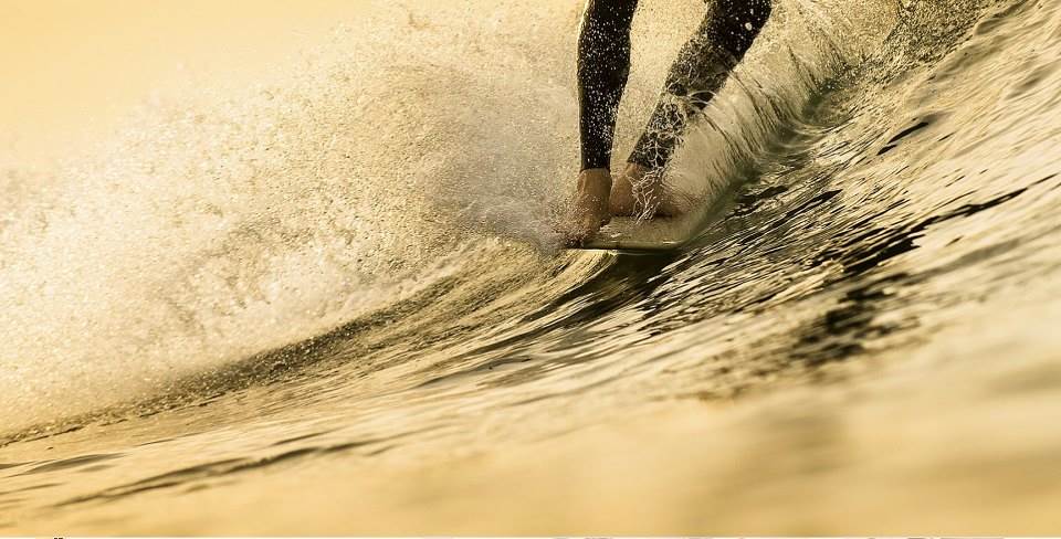 31888 573325876025300 503300778 n