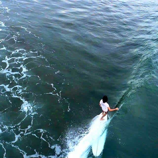 20118 978593218831895 796745436911327400 n