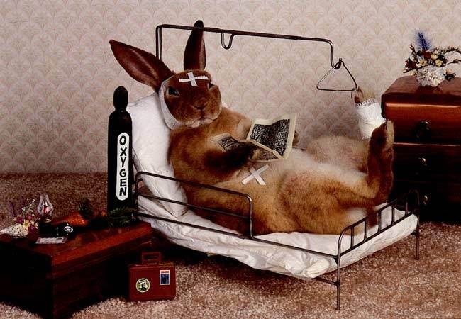 dcaca2216f2310ac579dc12d0d7bfac0