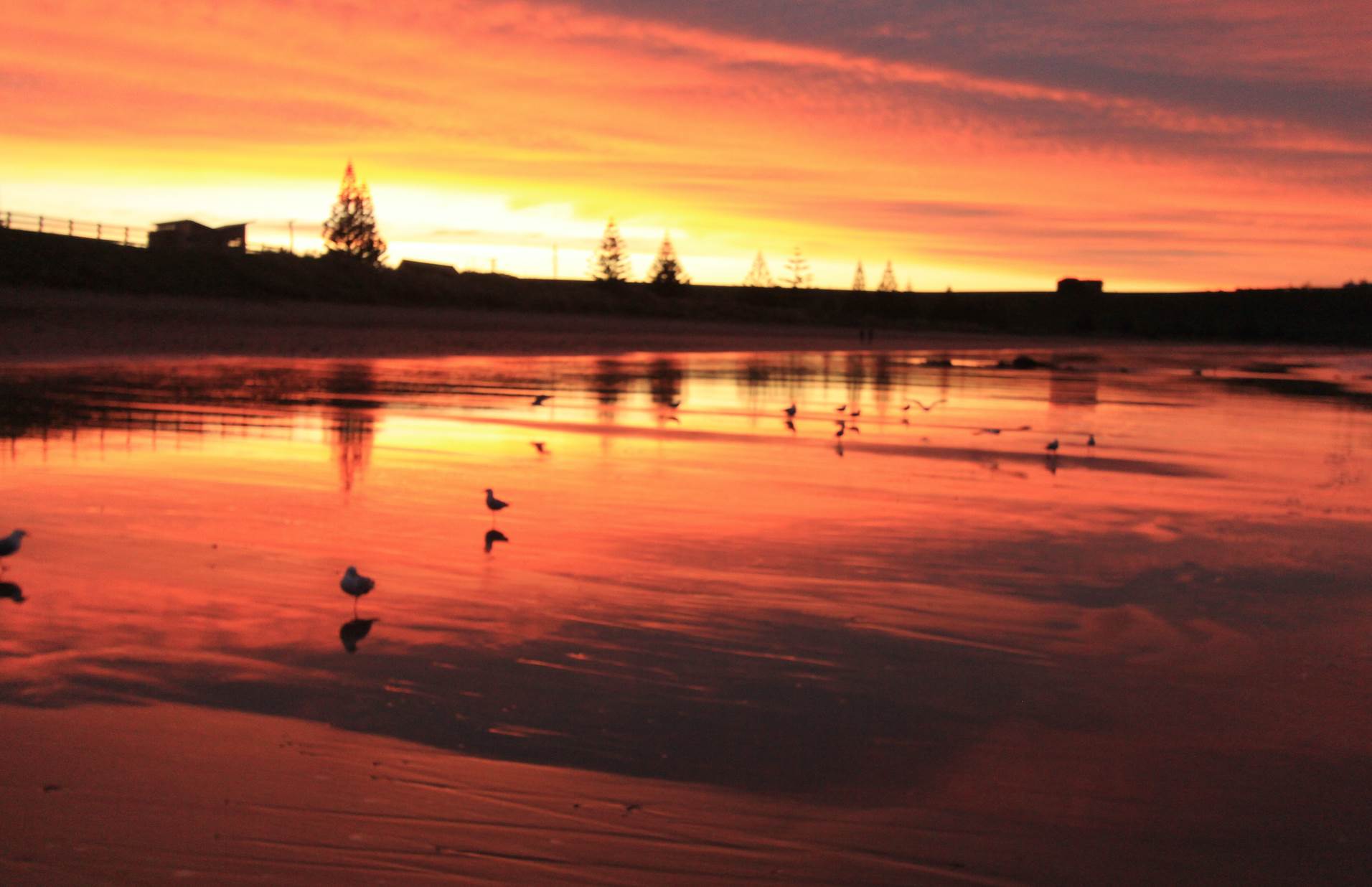 Screen Shot 2016-06-20 at 5.25.55 pm