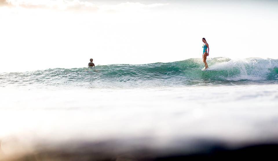 13315363 1123353127685779 3769669946448955723 n