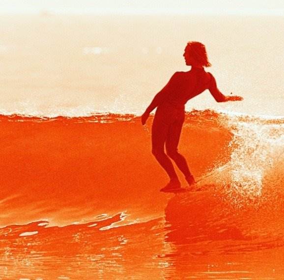 13450214 986041324783600 4350219712599749772 n