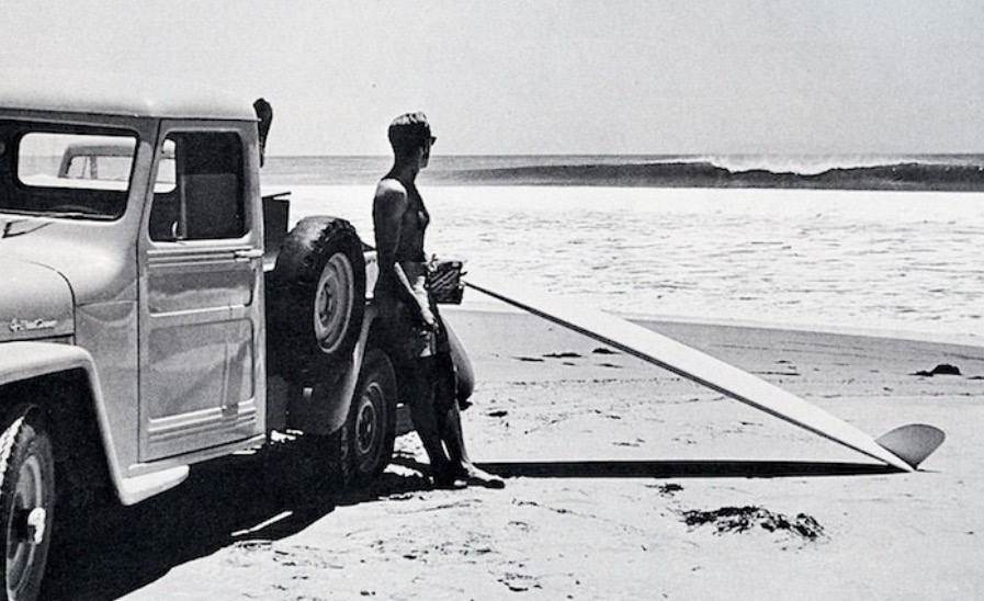 13754408 1010147559039643 5147876168989370554 n