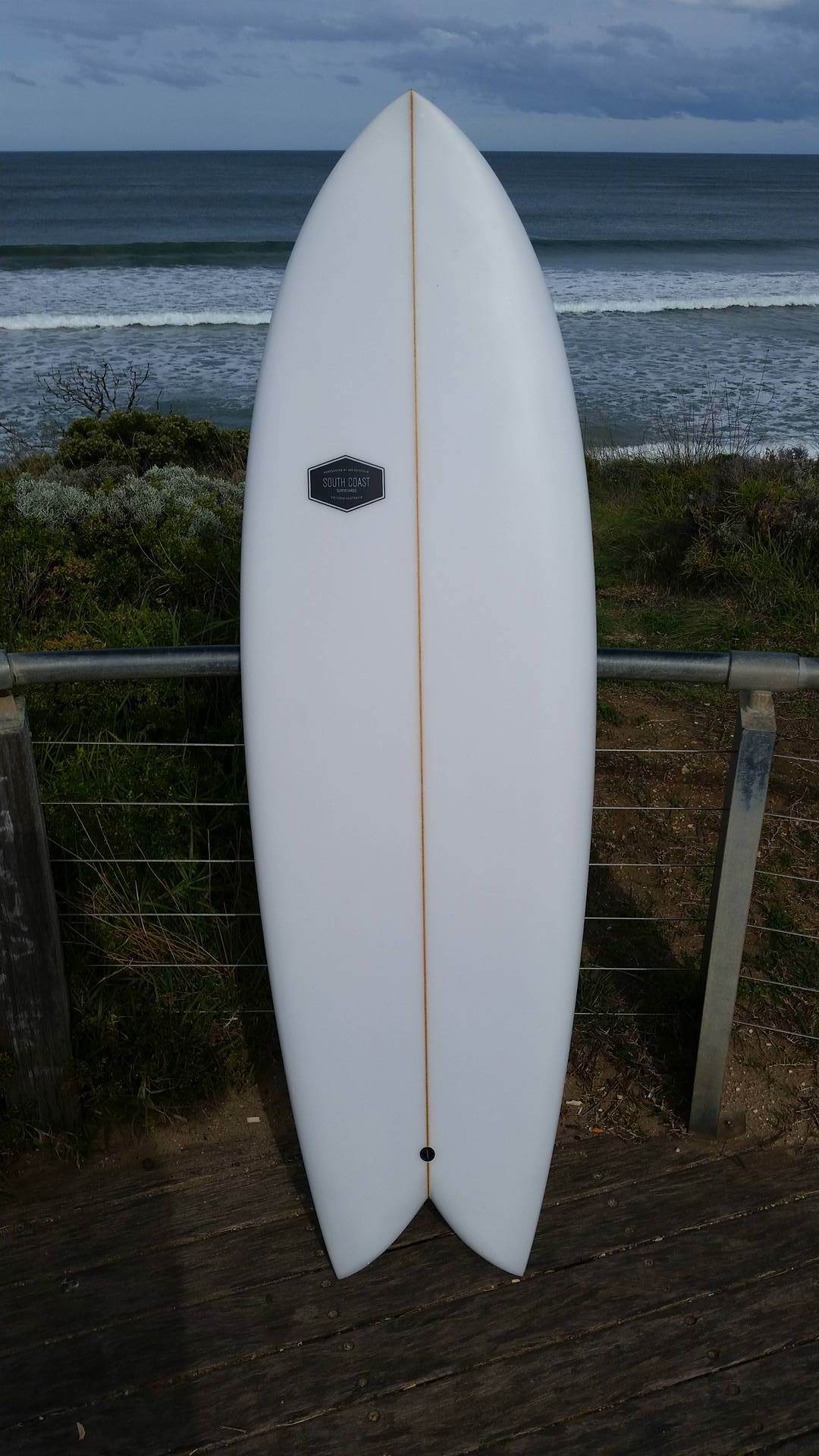 14012718 1268192133245616 385416329 o