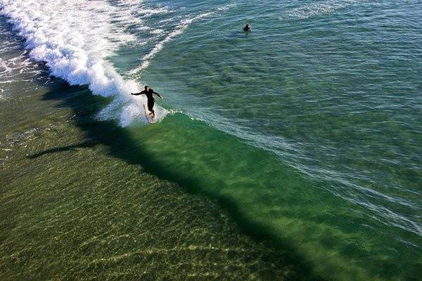 10340151 305424149620669 8939058235435560348 n