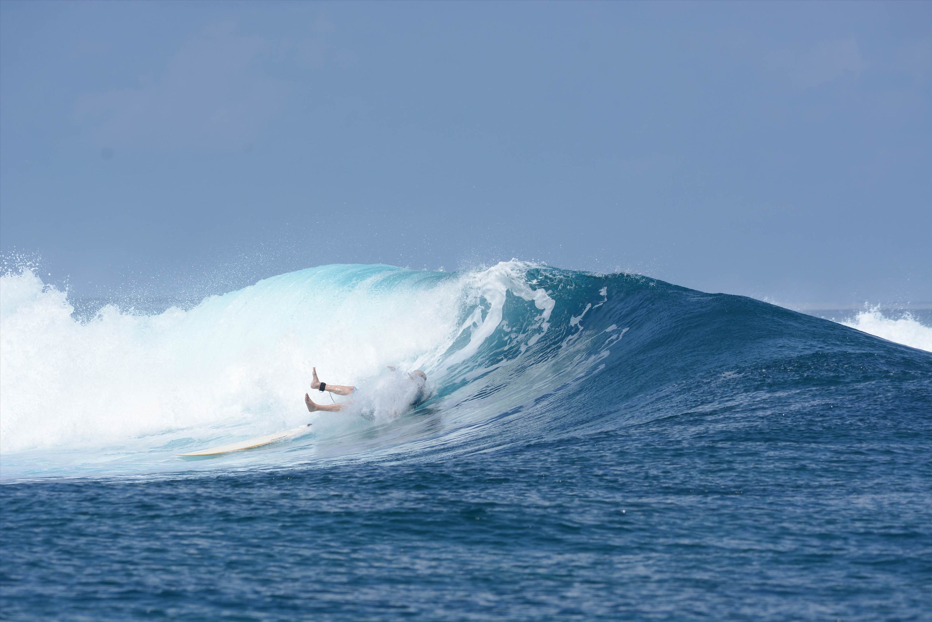 20160429scarcraws-DSC 3658