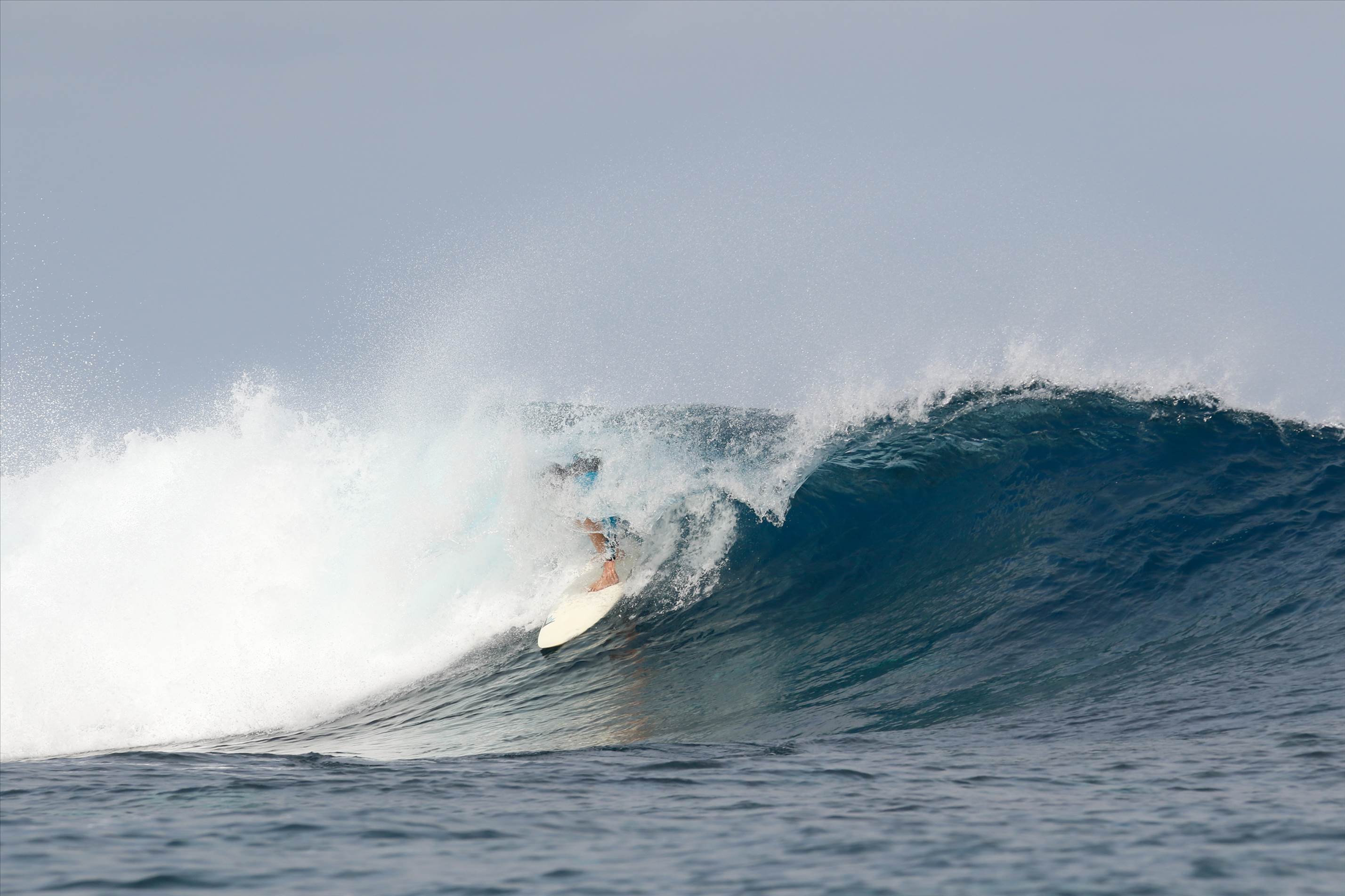 20160503Scarecrow- H5A2088