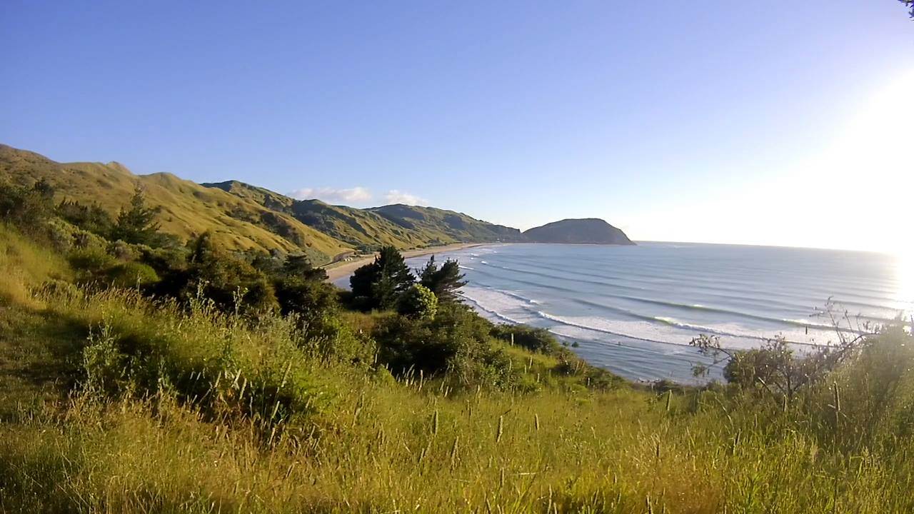 15493331 10154863635659312 2905483609828300508 o