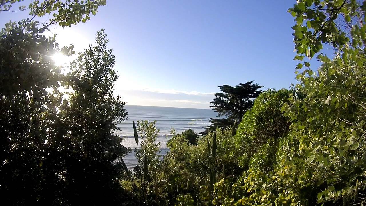 15403750 10154863637429312 2725207385688107099 o