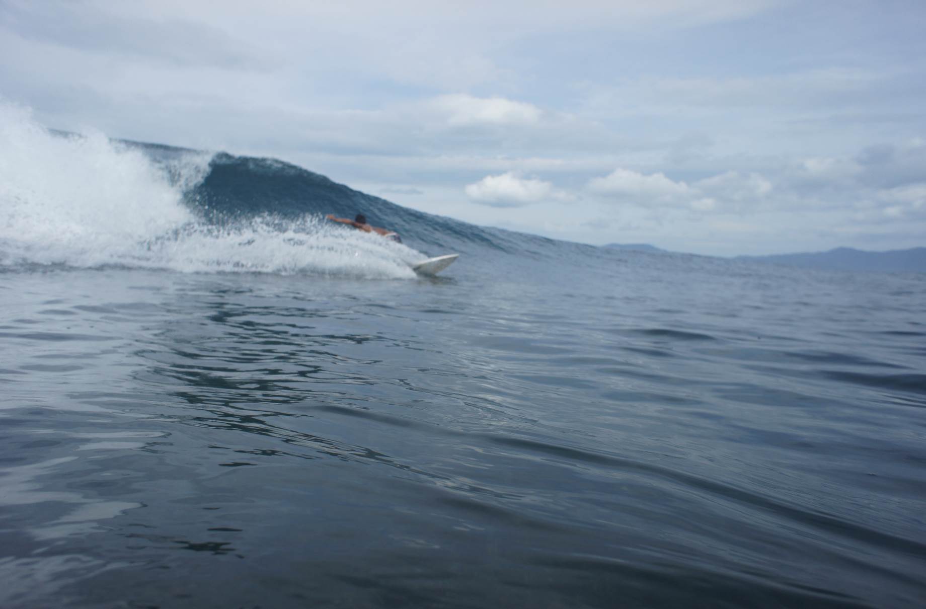 Screen Shot 2016-12-18 at 9.53.33 am