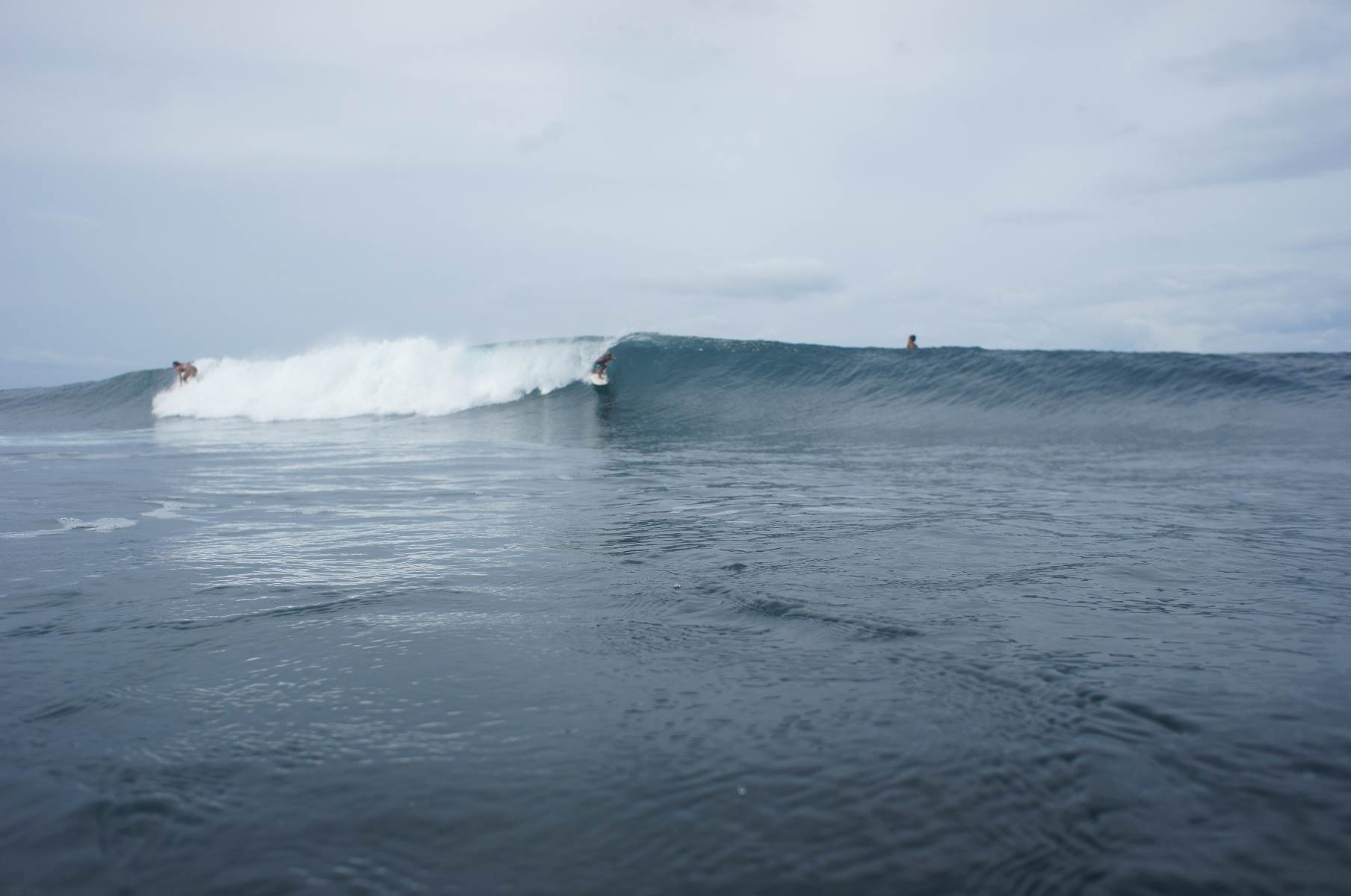 Screen Shot 2016-12-18 at 9.53.46 am