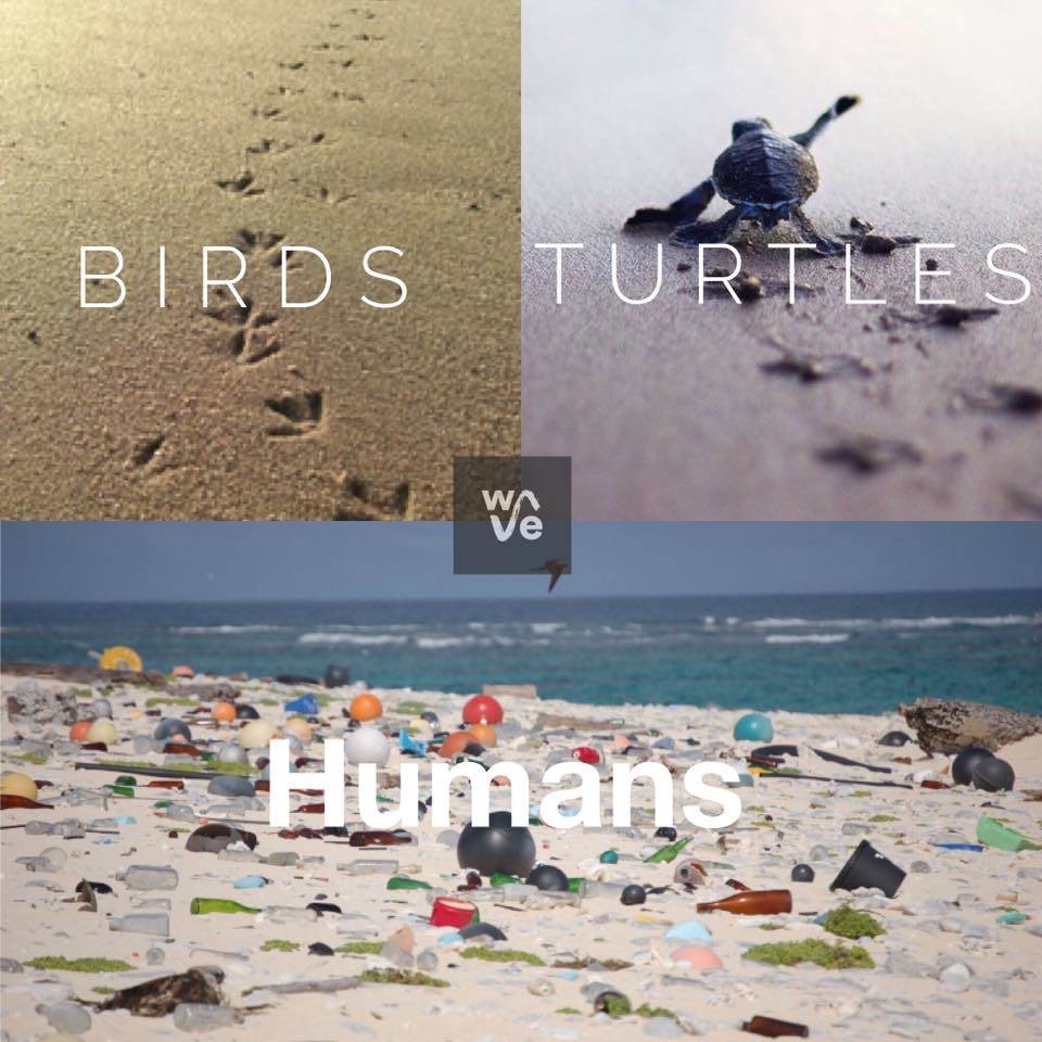 15741133 1356304447733711 3349168577368278508 n