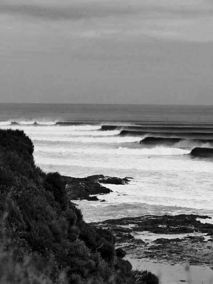 16174902 1702047749820611 5810665690079727251 n