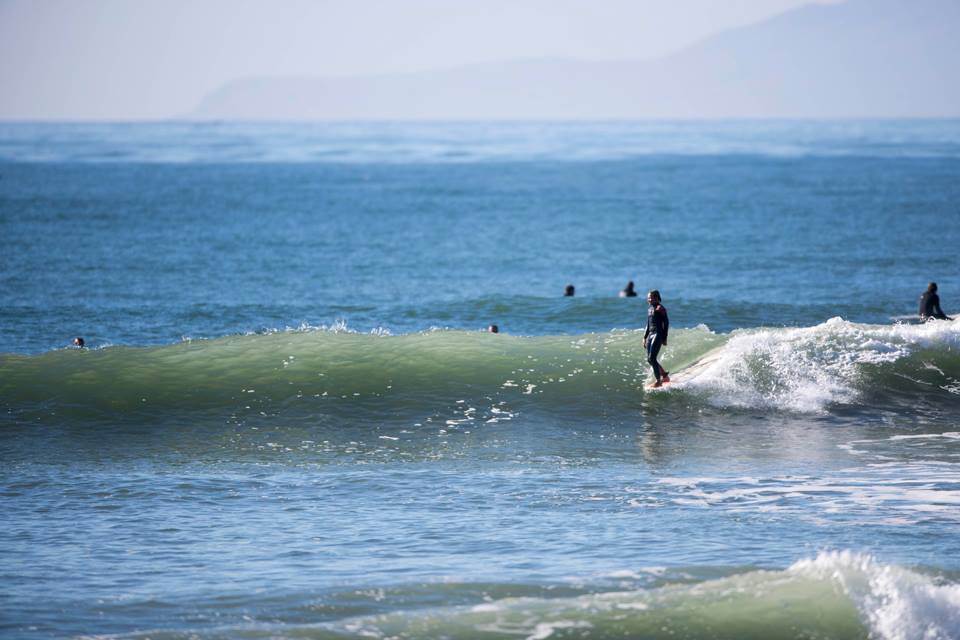 15541342 1291858754193677 8929715557991978449 n