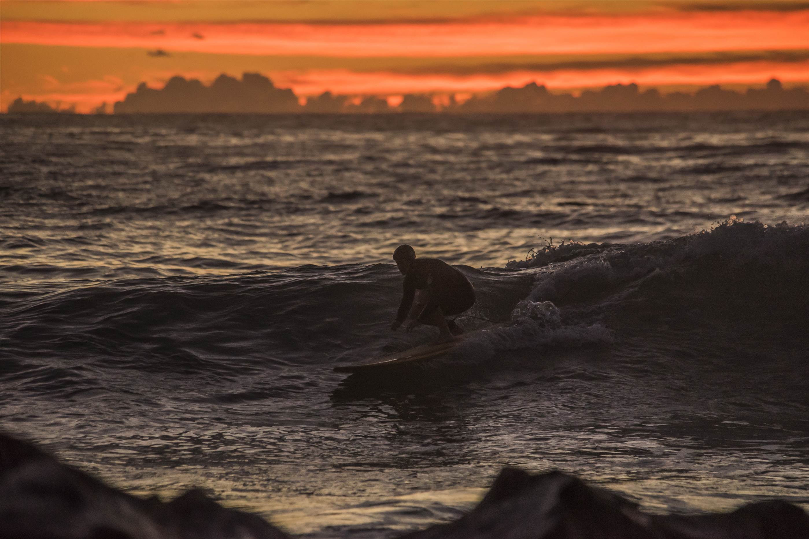 33750976152 11671f66bc o