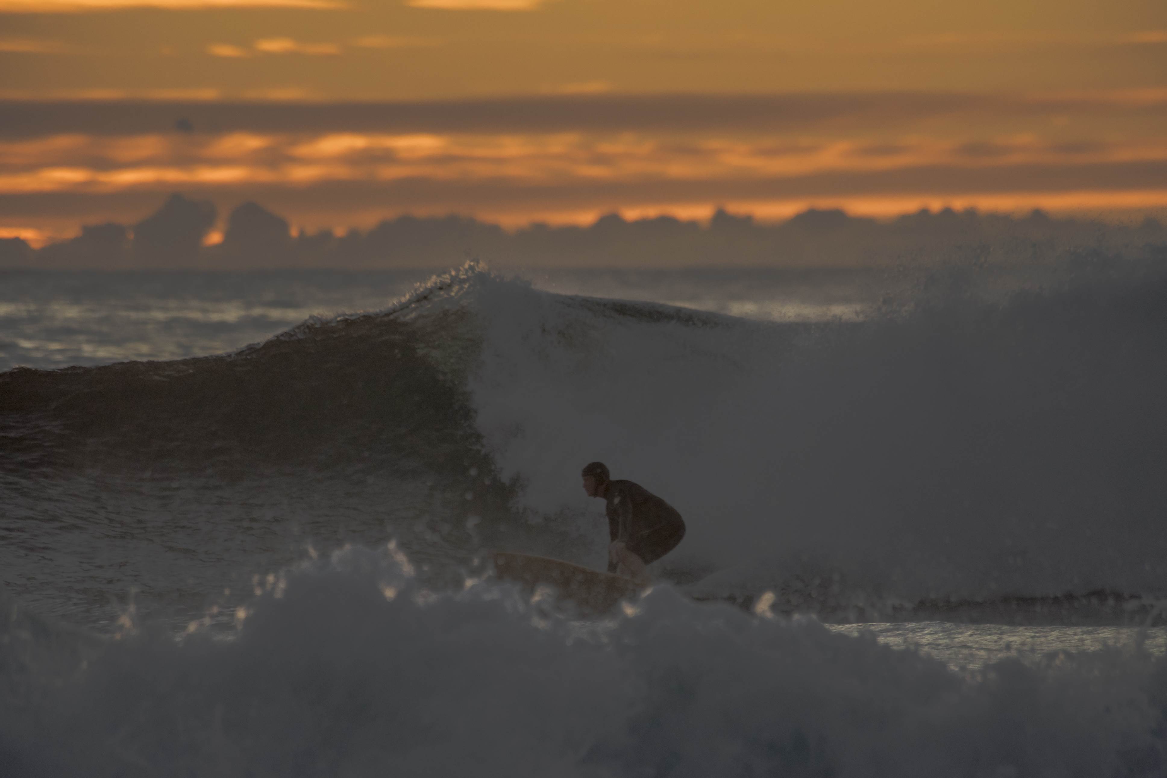 33522516680 d109f0726f o