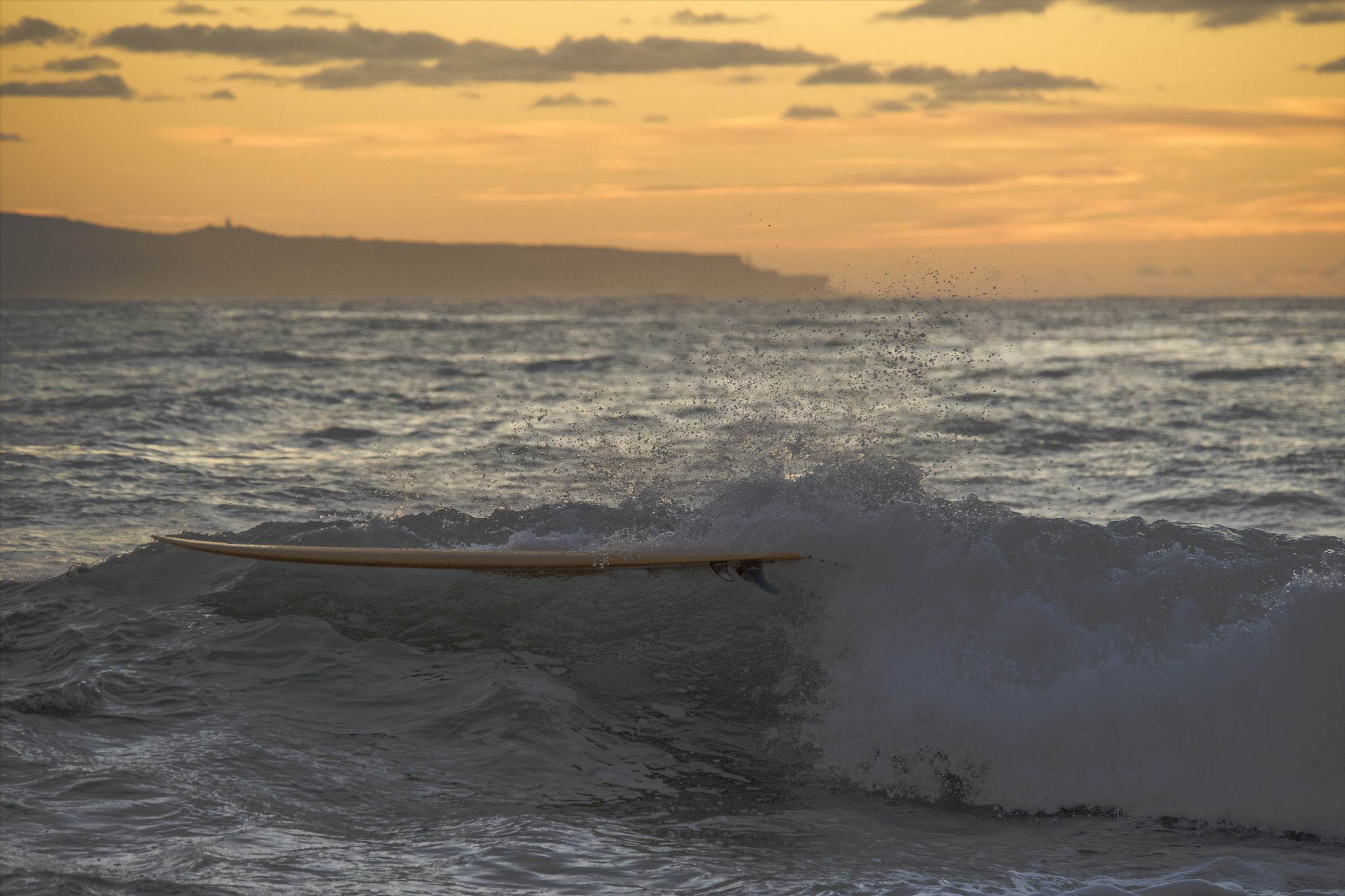 33777932511 8156966ec8 o