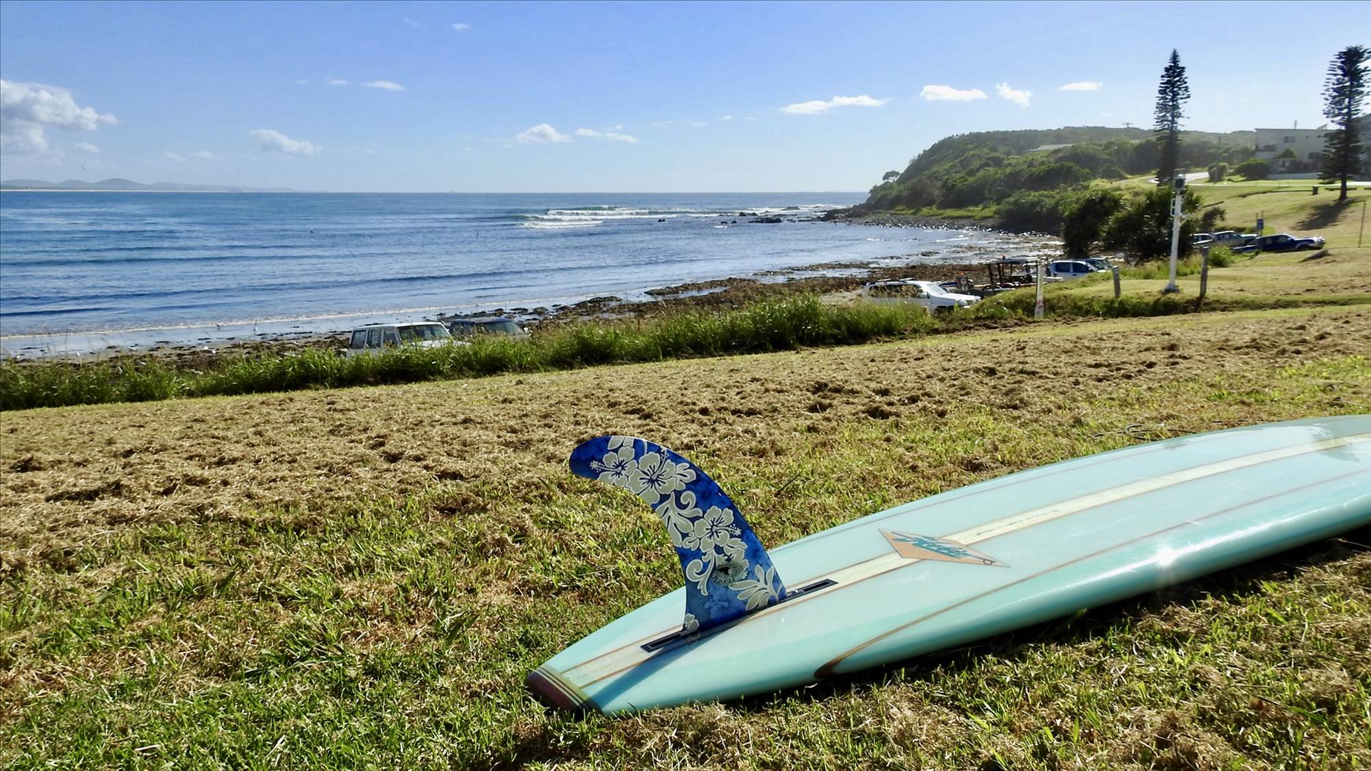 33272214975 28b81eba63 o