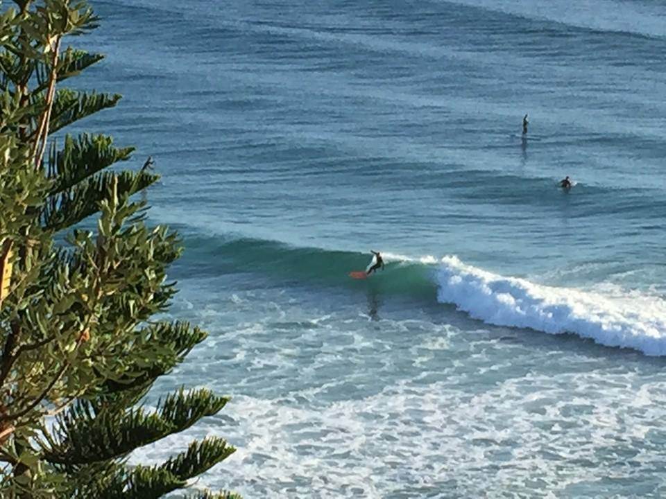 11407288 902833666424708 6153811589192889203 n