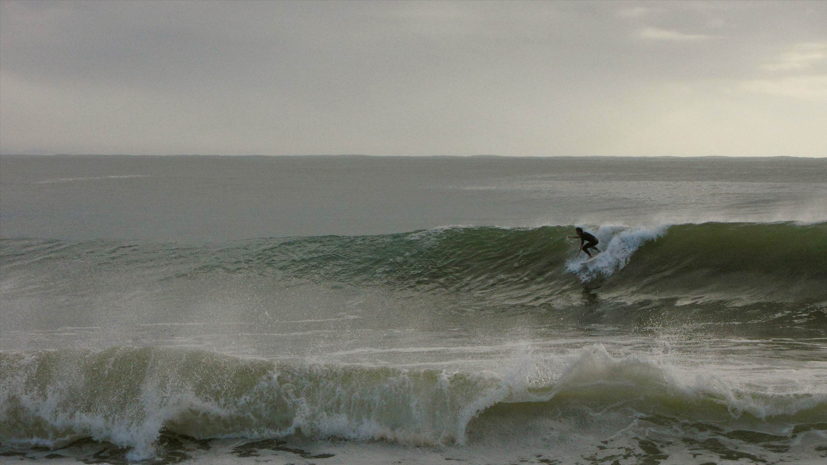 7188811063 8446f8bb0c o