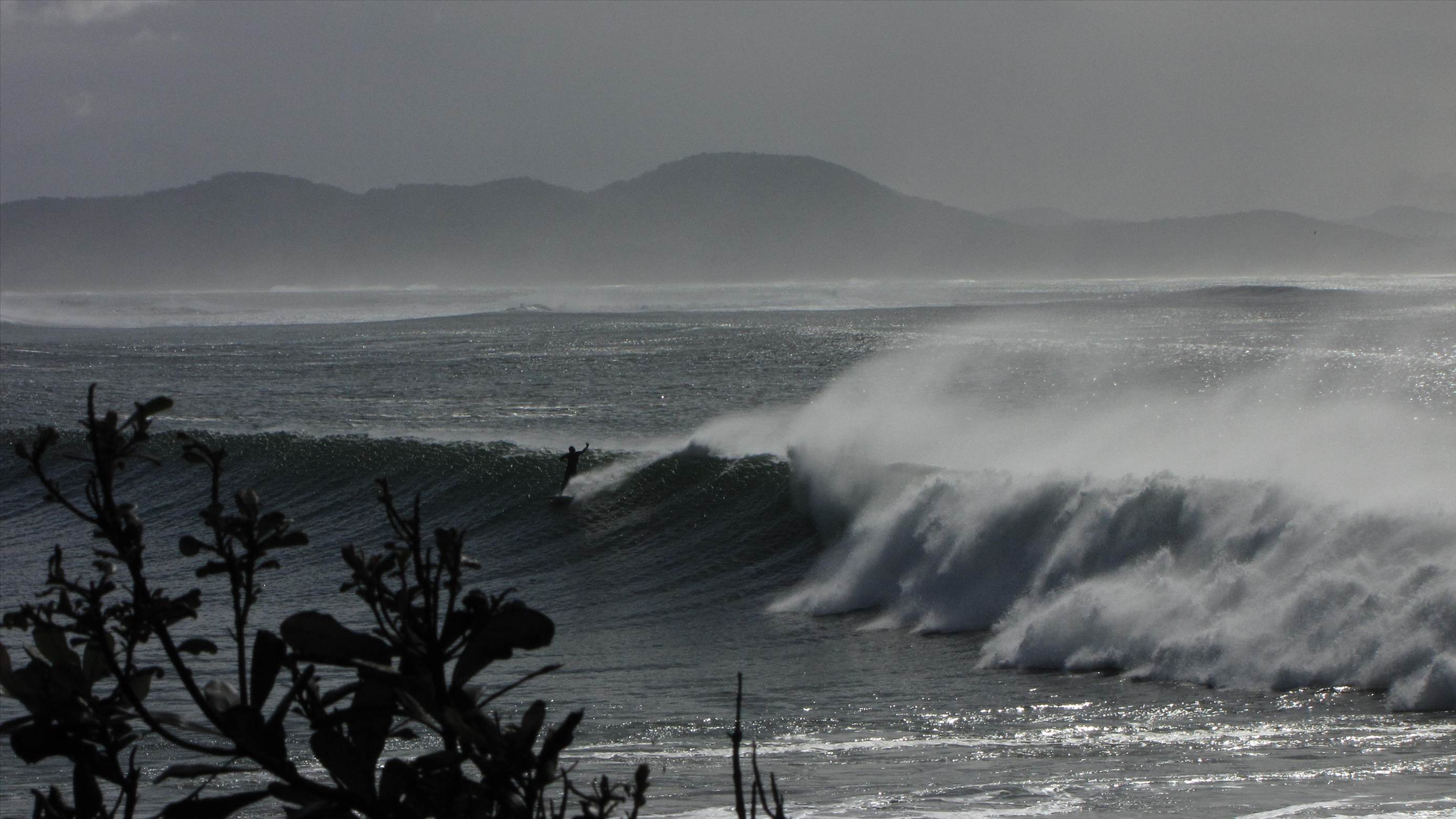 7188434653 ea0b6a2127 o